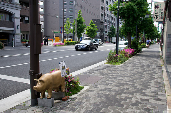 Kyoto, JP