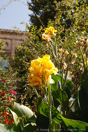 Granada - Alhambra