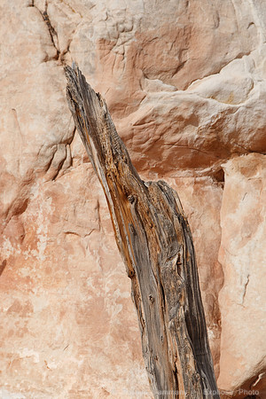 Arches NP, UT