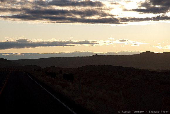 Moab UT to Goblin Valley UT