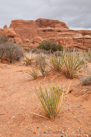 Arches NP, UT