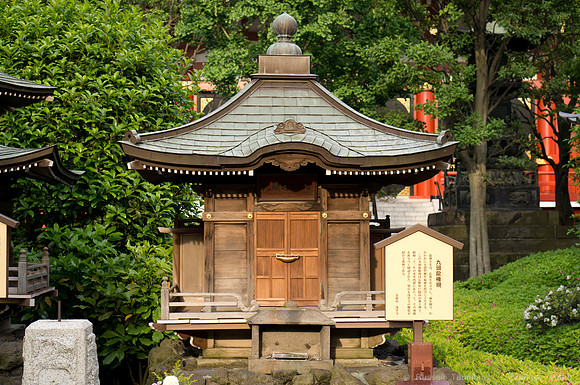 Sanja Matsuri Festival at Asakusa Shrine