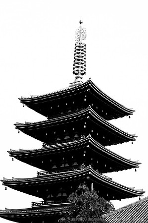 Sanja Matsuri Festival at Asakusa Shrine