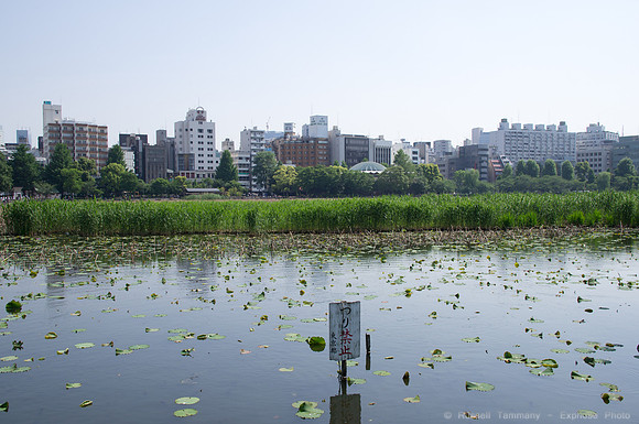 Uenoonshi Park