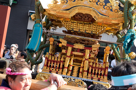 Sanja Matsuri Festival at Asakusa Shrine