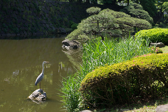 Hibiya Park