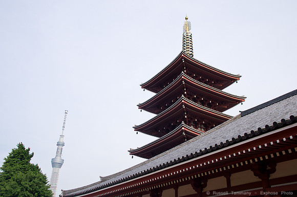 Sanja Matsuri Festival at Asakusa Shrine