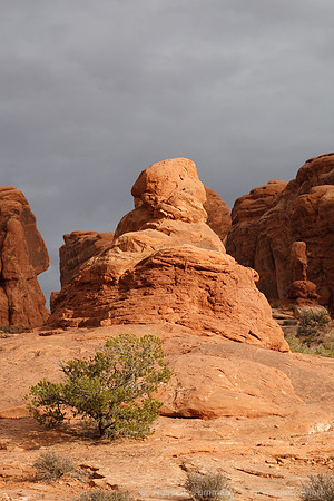 Arches NP, UT