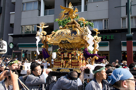 Sanja Matsuri Festival at Asakusa Shrine