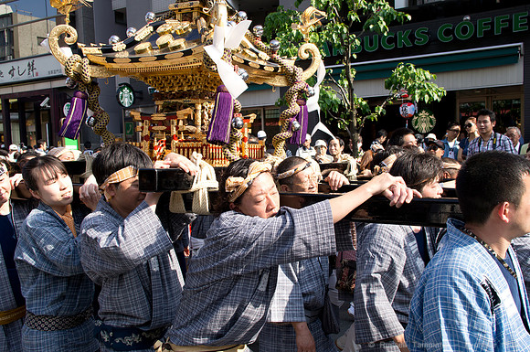 Sanja Matsuri Festival at Asakusa Shrine