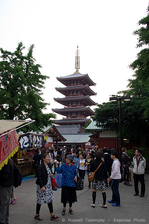 Sanja Matsuri Festival at Asakusa Shrine