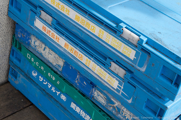 Tsukiji Fish Market