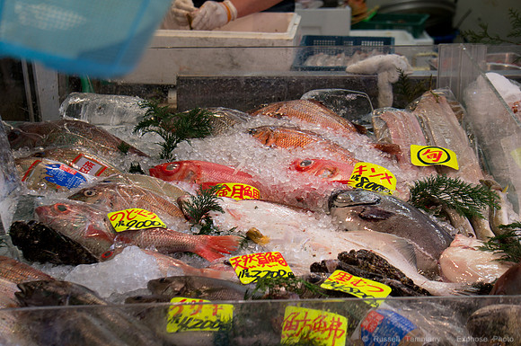 Tsukiji, Tokyo