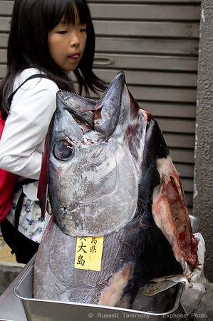 Tsukiji, Tokyo