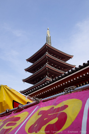 Sanja Matsuri Festival at Asakusa Shrine