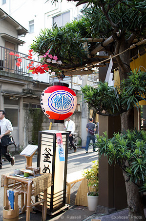 Sanja Matsuri Festival at Asakusa Shrine