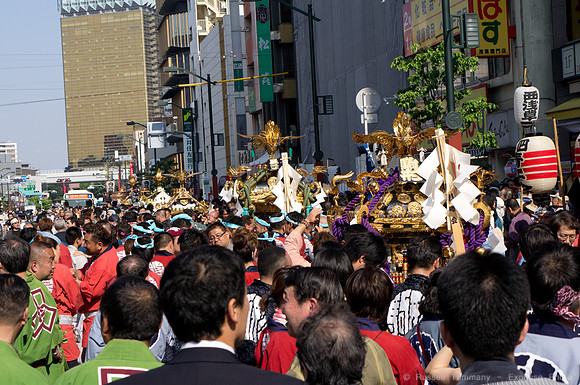 Sanja Matsuri Festival at Asakusa Shrine