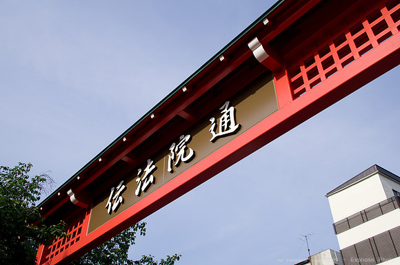 Sanja Matsuri Festival at Asakusa Shrine