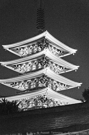 Sanja Matsuri Festival at Asakusa Shrine
