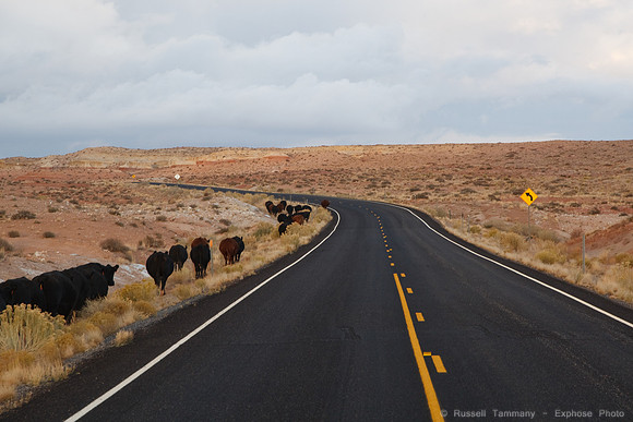 Moab UT to Goblin Valley UT