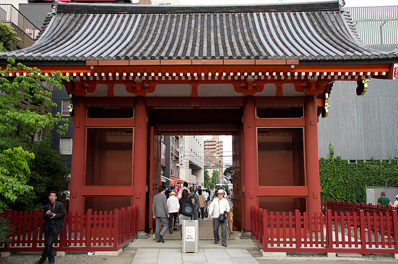 Sanja Matsuri Festival at Asakusa Shrine