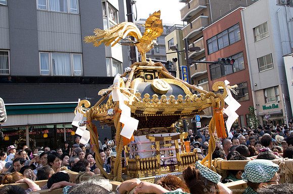 Sanja Matsuri Festival at Asakusa Shrine