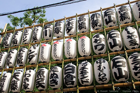 Sanja Matsuri Festival at Asakusa Shrine