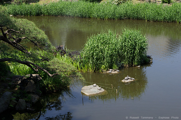 Hibiya Park