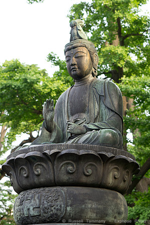 Sanja Matsuri Festival at Asakusa Shrine