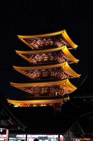 Sanja Matsuri Festival at Asakusa Shrine