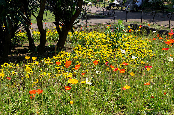 Hibiya Park