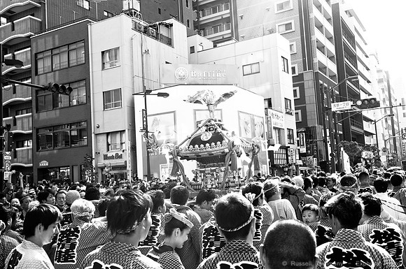 Sanja Matsuri Festival at Asakusa Shrine