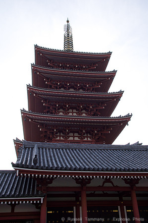Sanja Matsuri Festival at Asakusa Shrine