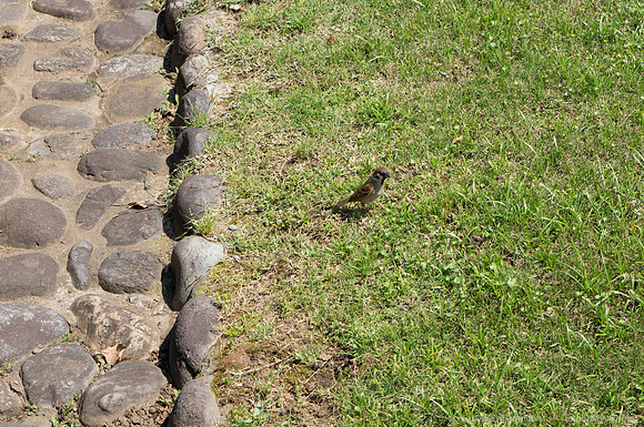 Hibiya Park