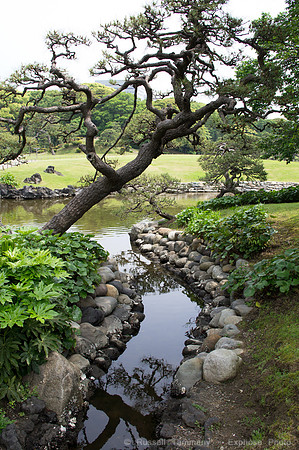 Hama Rikyu Garden