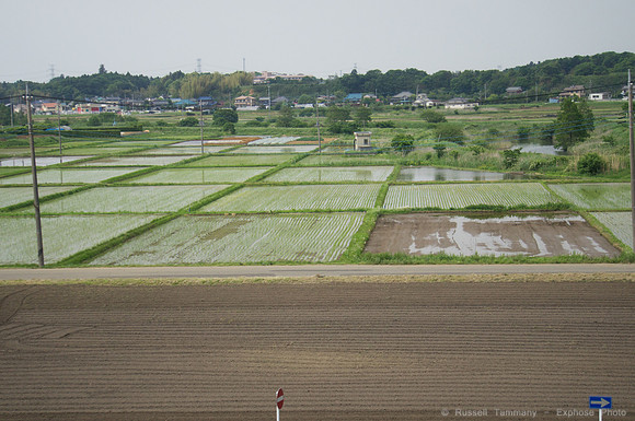 Train to Narita