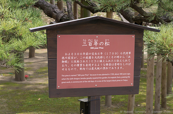 Hama Rikyu Garden