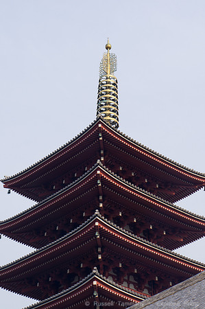 Sanja Matsuri Festival at Asakusa Shrine