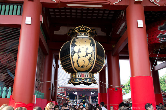 Sanja Matsuri Festival at Asakusa Shrine