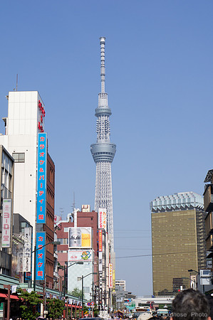 Sanja Matsuri Festival at Asakusa Shrine