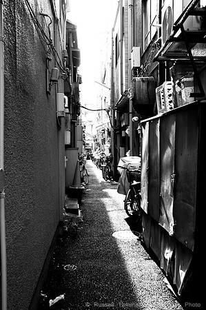 Sanja Matsuri Festival at Asakusa Shrine