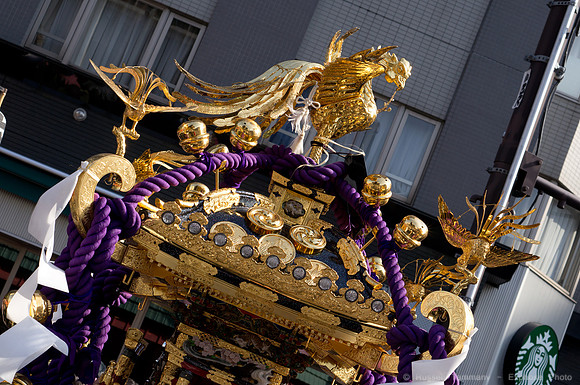 Sanja Matsuri Festival at Asakusa Shrine