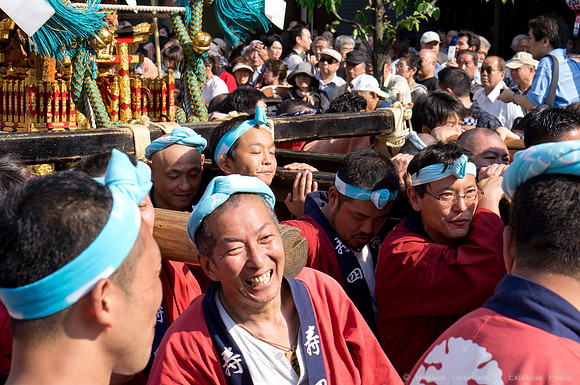 Sanja Matsuri Festival at Asakusa Shrine
