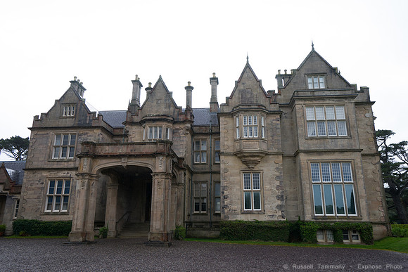 DSC03654