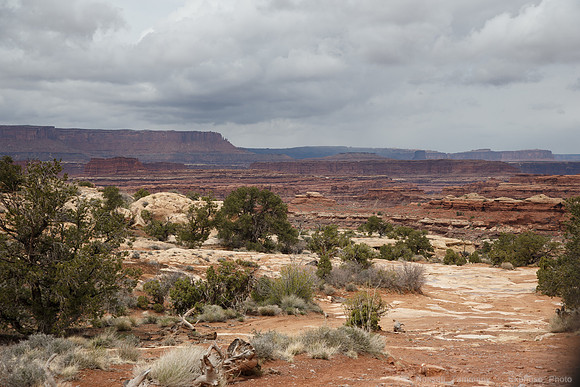 Colorado Overlook Trail, Needles, Canyonlands NP