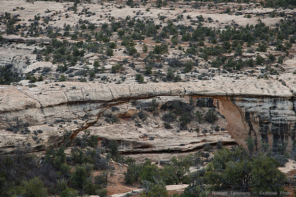 Natural Bridges Natl Monument