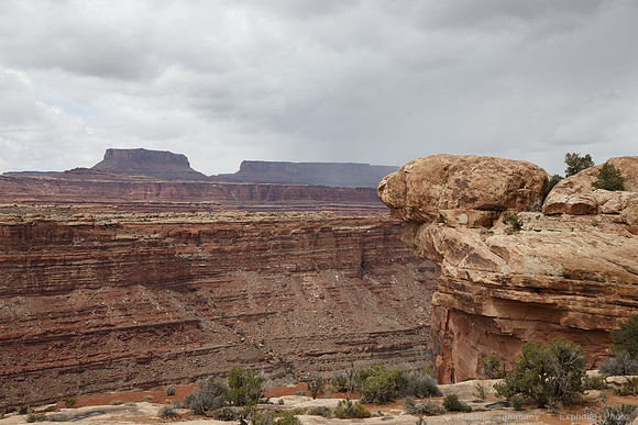 Colorado Overlook Trail, Needles, Canyonlands NP