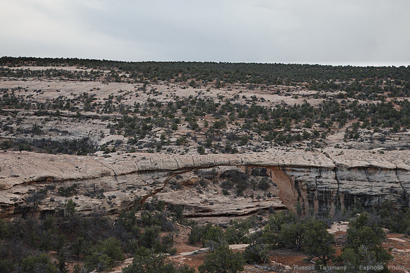 Natural Bridges Natl Monument