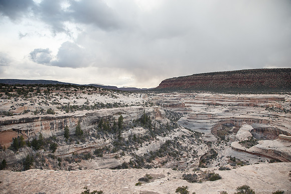 Natural Bridges Natl Monument