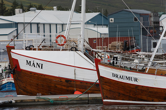 Dalvíkurbyggð